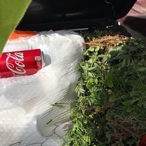 Flower Bed Weeding by House ODonnell Ventures reviewed on August 21, 2025
