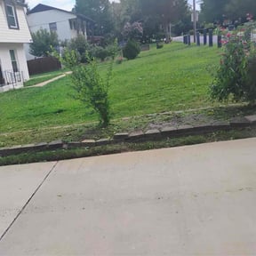 Flower Bed Weeding by Saraya go reviewed on November 19, 2025