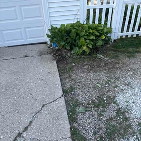 Flower Bed Weeding by Escobar Lawn Care Services reviewed on June 29, 2026