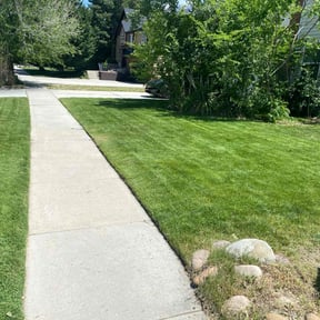 residential landscaping by Catalina Herman reviewed on August 13, 2025