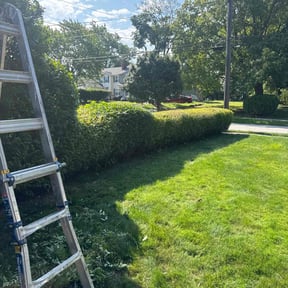 Bush Trimming by Hugheslandscaping reviewed on November 8, 2025