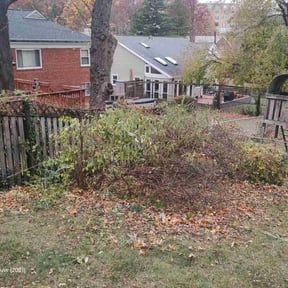 Bush Trimming by Precision Cuts Lawn Care reviewed on November 24, 2025