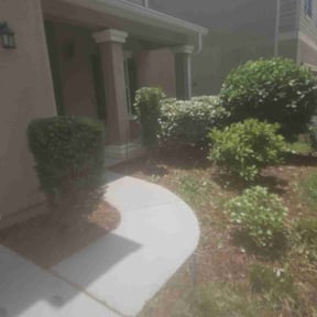 Bush Trimming by RainCityLandscapes reviewed on October 30, 2019