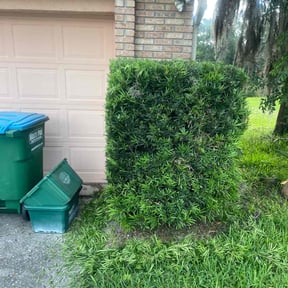 Bush Trimming by A Cut Above Lawn & Landscaping reviewed on August 18, 2025