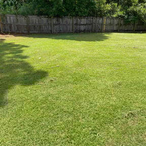 landscape maintenance by Yanez Brothers Landscaping reviewed on August 18, 2025