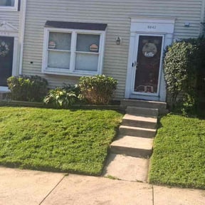 Bush Trimming by Mckay cleaning services and maintenance reviewed on August 29, 2026