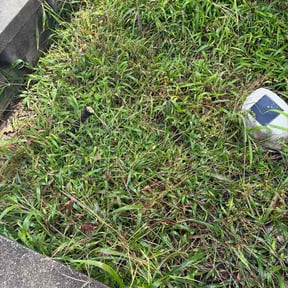 Flower Bed Weeding by Weekend Go to Guy reviewed on June 15, 2026