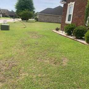Bush Trimming by Zach's Lawn Service reviewed on May 12, 2026