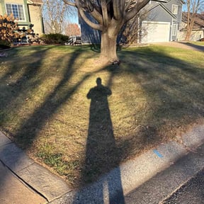 Leaf Removal by Aguilars Lawn Service reviewed on November 24, 2025