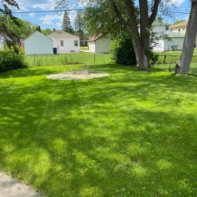turf care by 4 Seasons Lawn care service reviewed on June 30, 2025