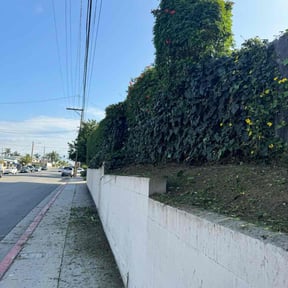 Bush Trimming by Quinn's lawncare reviewed on August 17, 2025