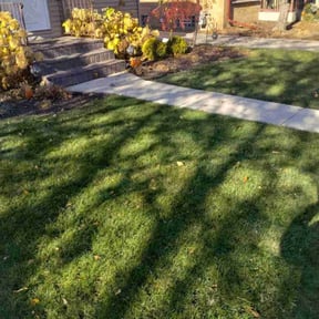 Leaf Removal by David Cardillo reviewed on November 19, 2025