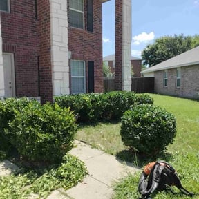 Bush Trimming by Eddie’s lawn maintenance reviewed on August 16, 2025
