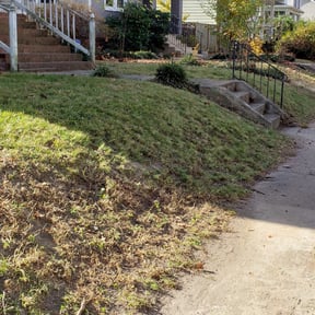 Leaf Removal by Swift Cleaners and Things reviewed on September 25, 2025