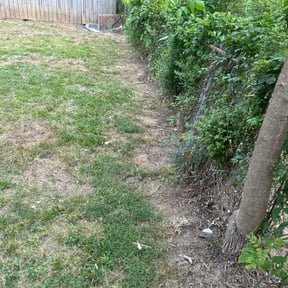 Leaf Removal by Randy's lawncare reviewed on May 20, 2026