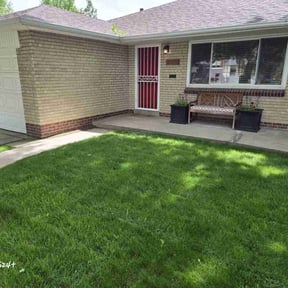 turf maintenance by Cari lawn care reviewed on August 15, 2025