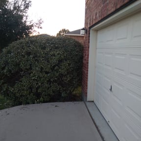 Bush Trimming by Family Lawn Care reviewed on August 21, 2025