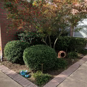 Flower Bed Weeding by J and E reviewed on August 19, 2025