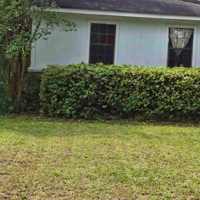 Bush Trimming by Graham's Lawn Care & Landscaping Services reviewed on August 21, 2025