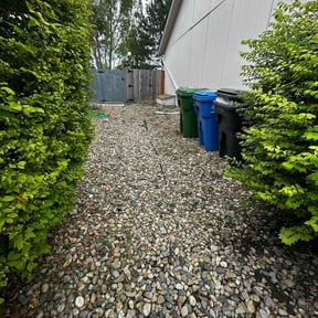Leaf Removal by Use more services reviewed on June 14, 2026
