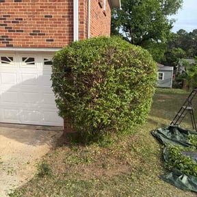 Bush Trimming by Greenstate Landscaping LLC reviewed on April 25, 2026