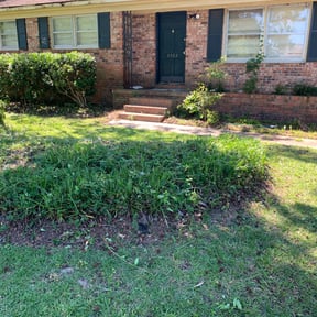 Bush Trimming by Y.A.Y Landscaping reviewed on August 21, 2025