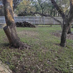 Leaf Removal by FLA Mowers LLC reviewed on September 10, 2025