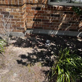 Flower Bed Weeding by Electric Mowing reviewed on August 17, 2025