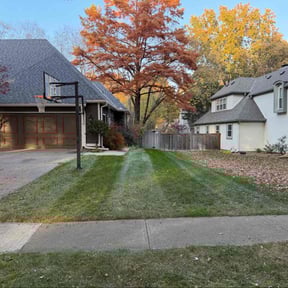 Leaf Removal by Pamelalawn reviewed on November 21, 2025