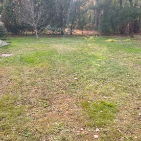 Leaf Removal by Just A Trim Lawn Care Maintenance reviewed on October 2, 2025