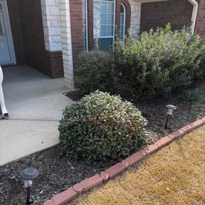 Flower Bed Weeding by HGD landscaping reviewed on June 20, 2026