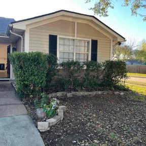 Bush Trimming by Tampa Lawn Maintenance 813 reviewed on December 11, 2025