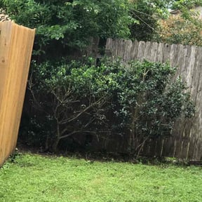 Bush Trimming by Jeff's Lawn service reviewed on August 18, 2025