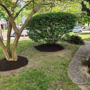 Bush Trimming by Claude’s Mowing Services reviewed on May 2, 2026