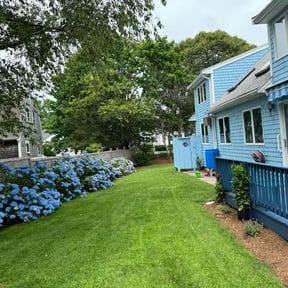 landscape maintenance by Johnson lawn services reviewed on November 19, 2023