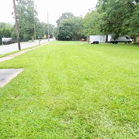 lawn care by Antz services reviewed on August 16, 2025