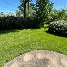 yard care by Carter’s Luxury Landscaping reviewed on November 19, 2025