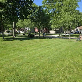 landscape maintenance by Clean Cut Lawn Care reviewed on August 17, 2025