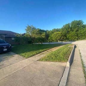 Leaf Removal by See ya care reviewed on July 9, 2026