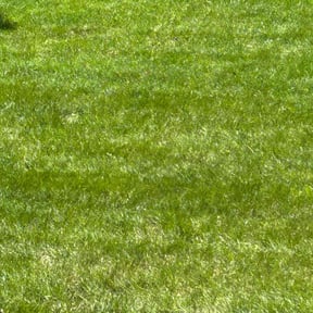 yard work by GB Land Designs reviewed on December 9, 2025