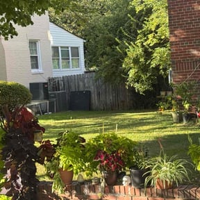 lawn care by Mendoza landscaping reviewed on October 28, 2023