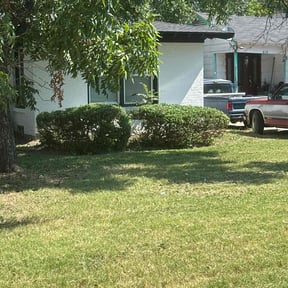 Bush Trimming by Lets go mow reviewed on November 30, 2025