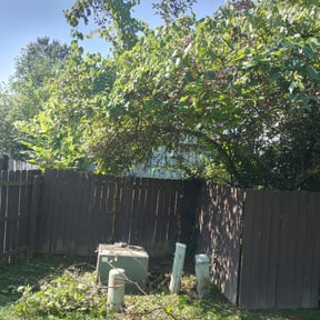 Bush Trimming by R e.r. contracting inc reviewed on August 19, 2025