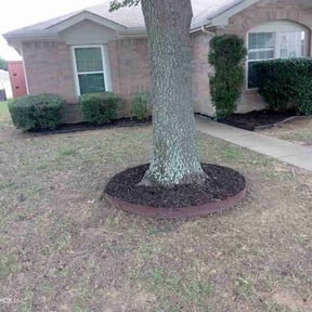 Bush Trimming by Nathan's lawn care reviewed on August 16, 2025