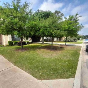 yard service by A&M Landscaping Services reviewed on August 15, 2025