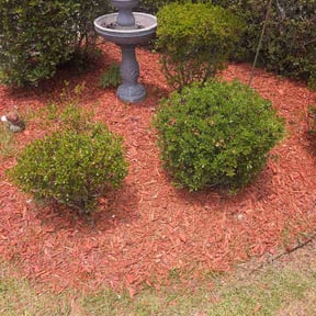 Flower Bed Weeding by Dunn it all while Dustin competition reviewed on June 6, 2026