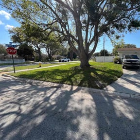 landscaping services by Beckford's Yard & More LlC reviewed on August 18, 2025