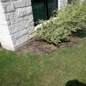 Flower Bed Weeding by 2 brothers landscaping reviewed on May 29, 2026