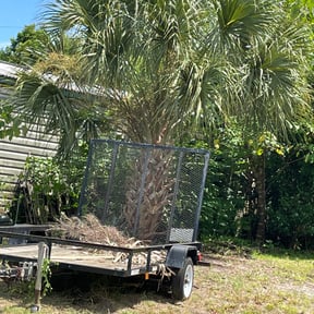 Bush Trimming by Y.A.Y Landscaping reviewed on November 23, 2025