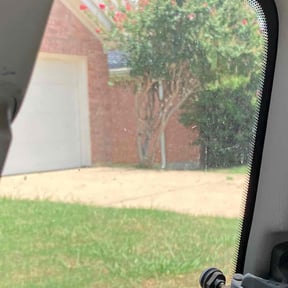 Bush Trimming by lawncare service reviewed on August 20, 2025